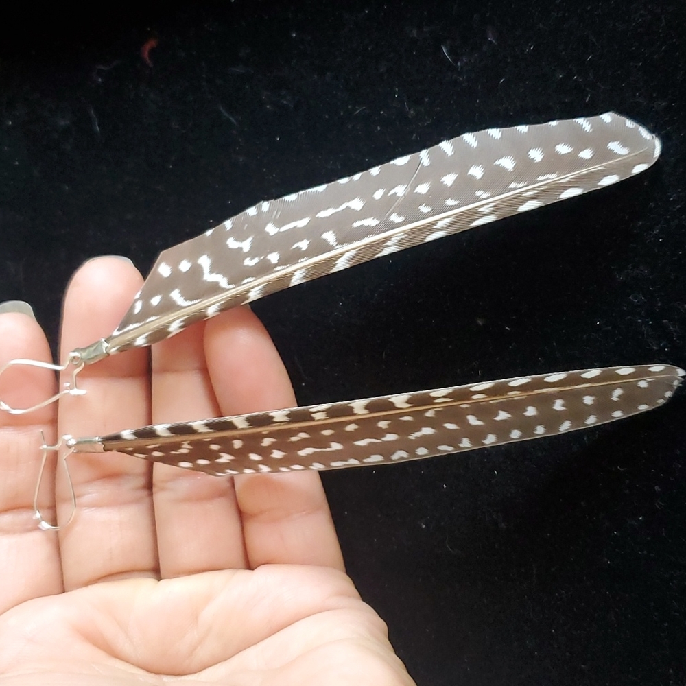 Feather Earrings 🪶 Long.